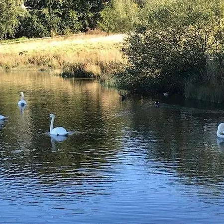 Waters Edge, Talkin Tarn, Nr *
