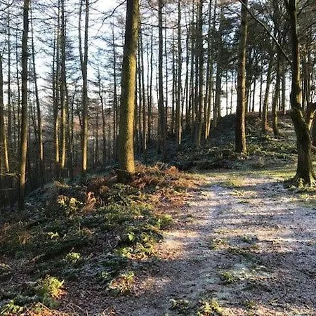 Waters Edge, Talkin Tarn, Nr Brampton * Brampton (Cumbria)